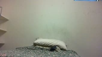 $700\month, Spring in Hippie House, Downtown Palo Alto 2