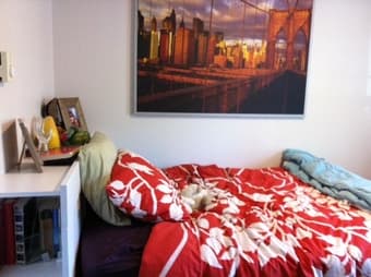 Furnished On Campus 1 BR in a Rains 2 BR Mid June - Early September 3