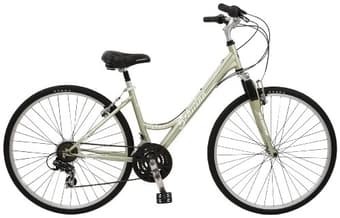 Schwin bicycle 110$ + 1 U lock&1 Chain lock 20$ + pump&helmet = free 1
