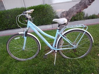 Almost new bike $150 together with locker, back and front light 1