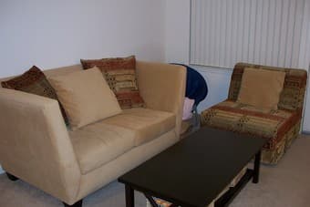 loveseat/single futon/coffee tables for sale 1