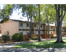 Summer Sublet in EV 2BR low-rise (larger room) 1