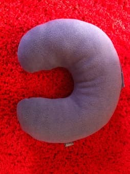 Neck pillow $10 1