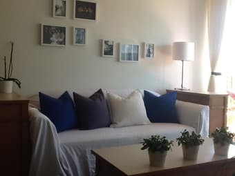 Couch cover 1