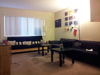 Spot Open in Menlo Park Apt 1