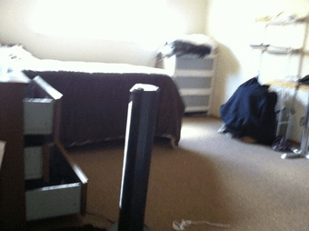 California Ave, Palo Alto Apt for Sublet. $950 from June 6 to July 30. 3