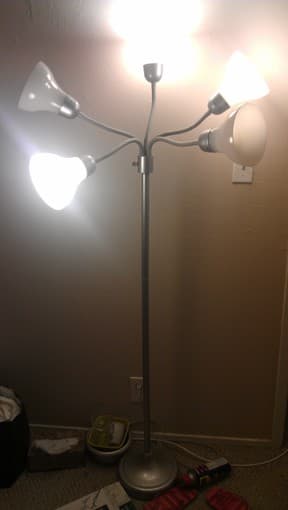 Cool lamp for sale! 1