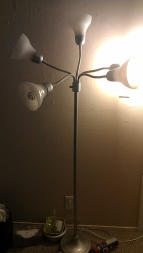 Cool lamp for sale! 2