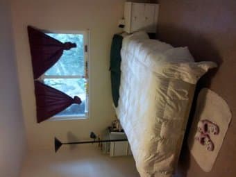Two-bedroom Townhouse Sublet (3 Weeks) from 6/23 to 7/16 for $1,399 1