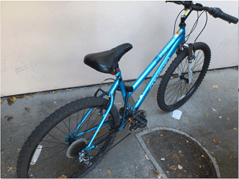 8 months old mountain bike 1