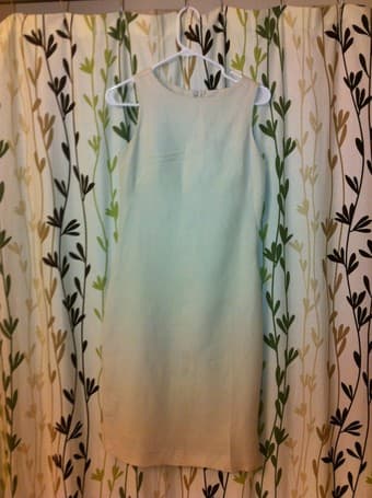 Ball gown, sun dress, professional dress $10-15 each! 3