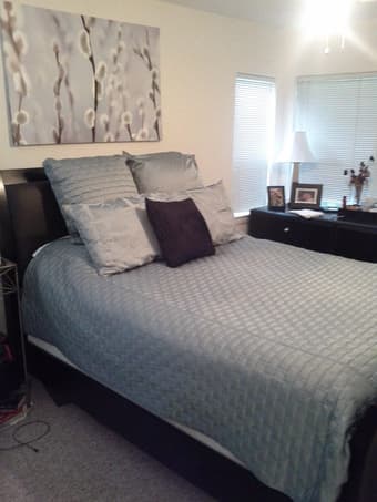 Bedspread / accent pillows / art - Macy's Hotel Collection - $60 3