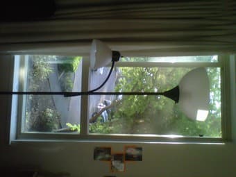 Floor Lamp 1
