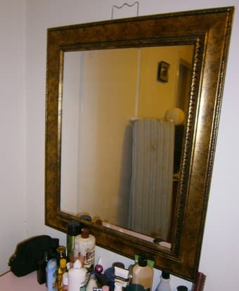 Framed Dressing Mirror - $30 2