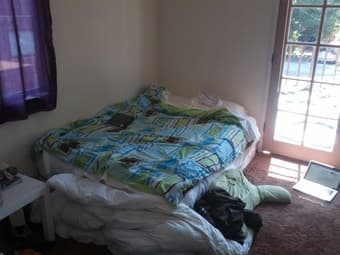 Full Bed and Box Spring $80 1