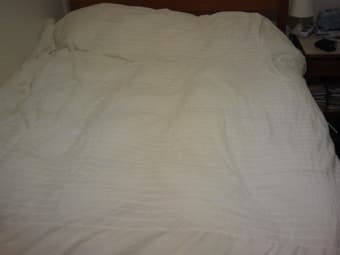 Almost new eiderdown duvet selling for less than 1/2 price - $60 obo 1