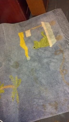 free ikea children's rug (slightly stained) 1