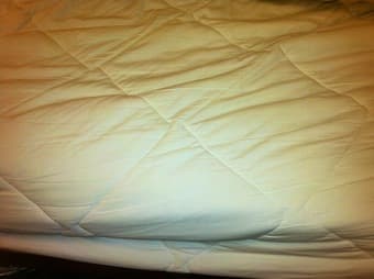 Selling Twin/Twin XL Mattress Pad - $10 OBO 1