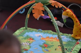 Fisher-Price Rainforest Gym - $15 1