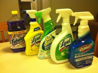 ALL PURPOSE CLEANERS $10 1