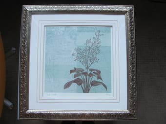 Framed Paula Scaletta print $25 1
