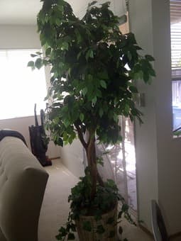 moving sale - space heater, decorative tree 2