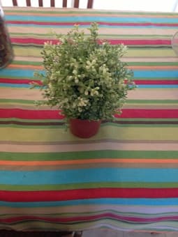 Amazing home decor - painting, artificial plants - total only USD 14 ! 1