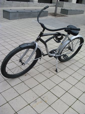 FOR RENT: Male Cruiser $50 for the whole summer 1