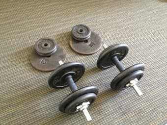Adjustable Dumbbells (2x 40lbs) - $35 1