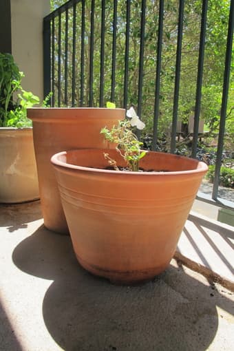 Moving sale: Vacuum, trash can, bowls, garden pots 1