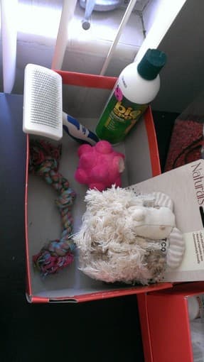 Dog gate, toys, brush; Aquarium kit, water treatment, accessories, etc 3