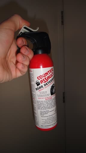 2 unused cans of bear spray - $20 each 1