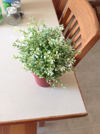 Really cheap & beautiful home decor - $ 2 per piece only 1