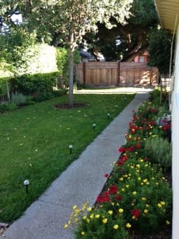Very dog-friendly home for one person with dog(s) 1