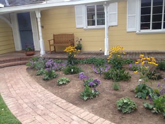 Upscale House to Share in Northern Los Altos ($1,500/mo.) 2