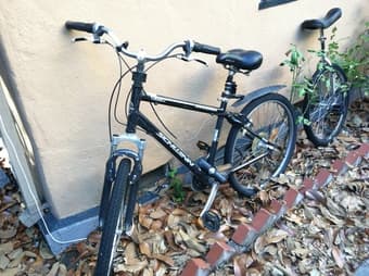 Schwinn Bike- $65 2