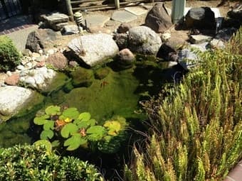 ENTREPRENEURIAL LEADERS wanted - Community-centered Cupertino Mansion 3