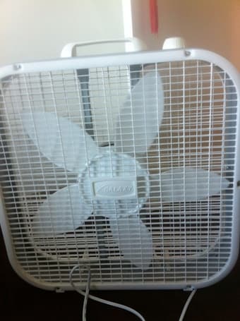 Box fan for $10 1
