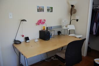 Large Work Desk 1