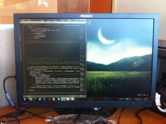 Lenovo 24" ThinkVision LED monitor ($180) 1