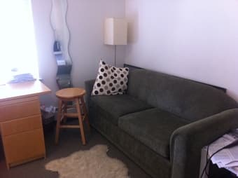 Studio Sublet for Thanksgiving - Christmas - longer term possible 1