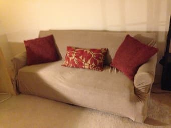 Three decorative pillows for $20 1
