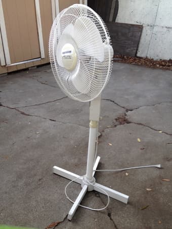 $10 - Fan 1