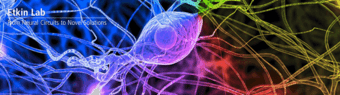 Psychiatry Neuroimaging RA Position 1