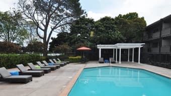 Shared Room for Rent - Friendly, Furnished, Palo Alto Apartment 2