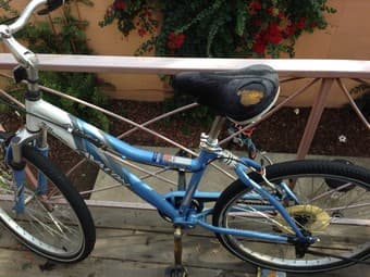 Old bike for $25 1