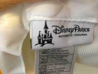 Disney hat for $10 2