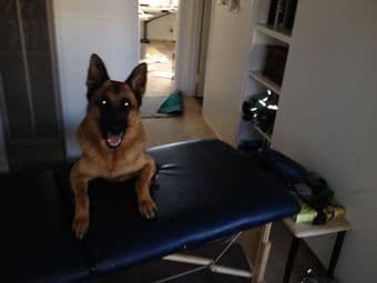 Massage table - professional grade in great condition 1