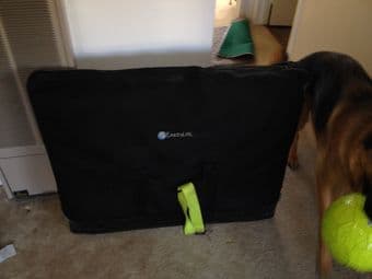 Massage table - professional grade in great condition 2