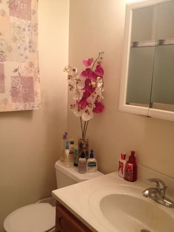 1bedroom Available in furn 2/br/1bath apt. $975 Mountain View - Dec 1